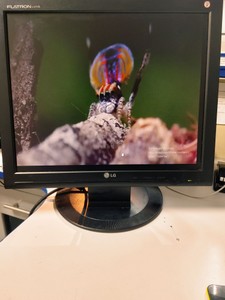 Б/в Монітор Lg l1717s 01-201072152