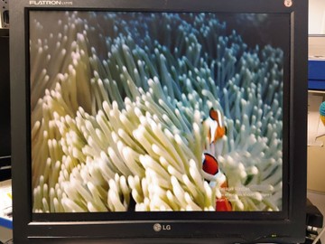 Б/в Монітор Lg l1717s 01-201072152