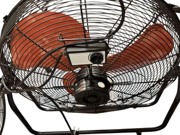 01-200597234: Wild Wind ifs-3520