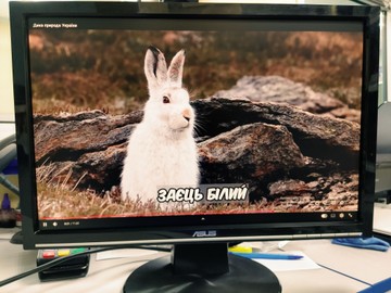 Б/в Монітор Asus vw198s 01-201003671