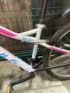 01-200597550: Formula electra 26" 2024