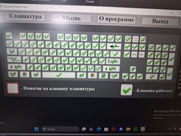 01-200738039: Asus 15/ryzen 5 7535hs ddr5/16gb ddr5/ssd 500 gb/geforce rtx2050 4gb