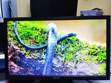 Б/в Монітор Asus vp228 01-200815877