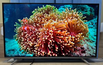 Б/в Телевізор Tcl 43p725 01-200835989