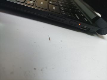 Б/в Ноутбук Lenovo 12/celeron n2830 ddr3/2gb ddr3/hdd *відсутній/ssd 120 gb/*інтегрована 01-200846138