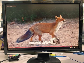Б/в Монітор Asus vw198s 01-201003671