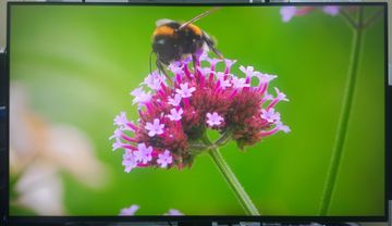 Б/в Монітор Lg 27gn950-b 01-200911669