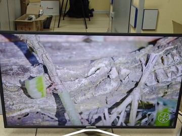 Б/в Телевізор Samsung ue43mu5503 01-200966333