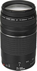 Canon 75-300 mm f/4-5.6 ii
