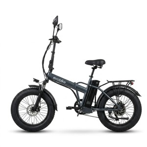 Ecobike 48v 15ah