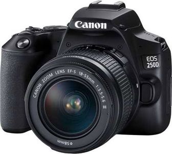 Canon eos 250d / ef-s 18-55mm 0.25m/0.8ft