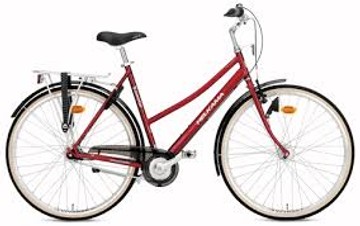 Raleigh freedom 500