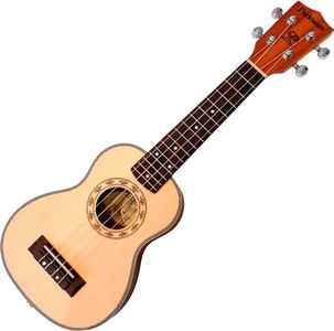 Parksons uk21c