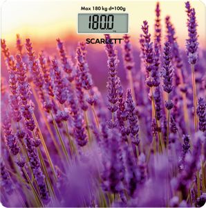 Scarlett sc-bs33e047