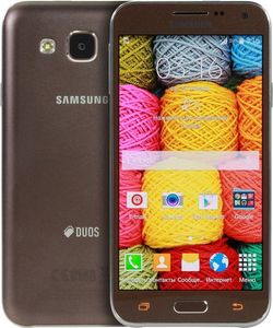 Мобільний телефон Samsung e500h galaxy e5 duos