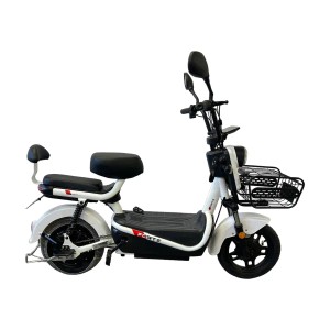 Forte Moto wn500
