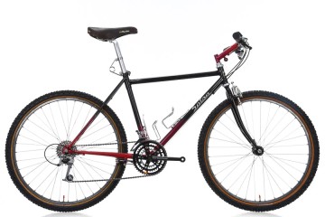 Raleigh m-trax