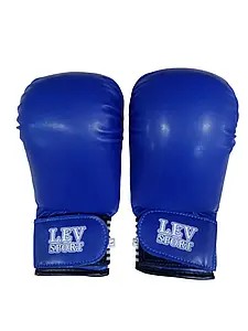 Lev martial arts 10 oz