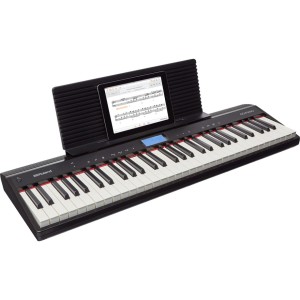 Roland Go piano go-61+ fzone.sp1 (педаль)