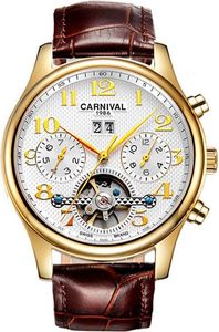 Carnival 8670g