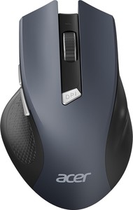 Acer omr266