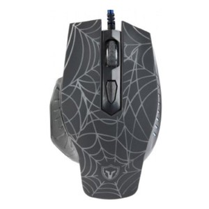 Battletron laagveld 10
