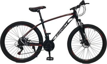 Favorite tracker 29" frame 19