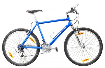 Raleigh max alum 26