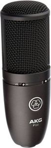 Akg p120