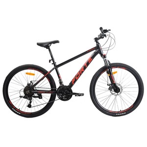 Forte compass 29" рама 19"