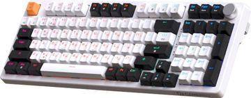 Gamepro mk170 outemu hot-swap switch