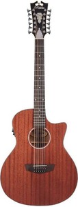 D'angelico premier fulton ls 12-string