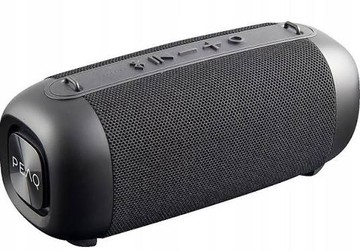 Peaq ppa 405