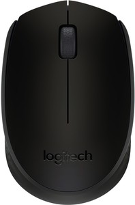 Logitech b170