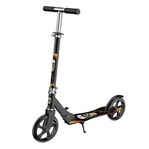 Adult Scooter 883