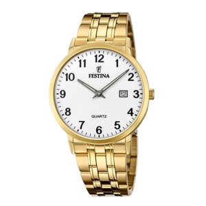 Festina f20513