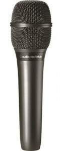 Audio-Technica at2010