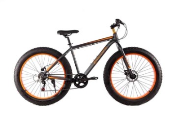 Profitech mitech dickerchen fatbike