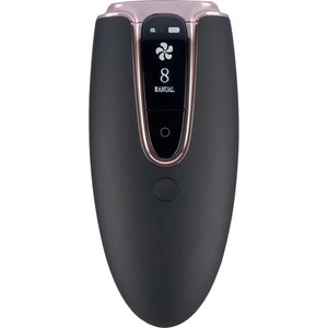 Ellesilk ipl