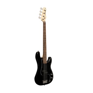 Stagg sbp-30