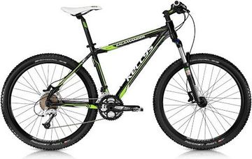 Kellys salamander 26"