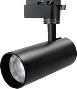 Sopilka led 030 30w 4200k