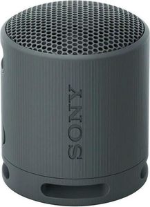 Sony srs-xb100