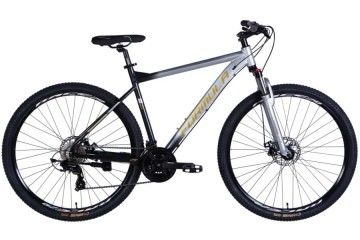 Formula f-1 dd29 alume frame