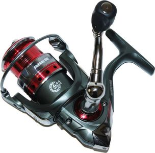 Fishing Roi bora plus 1000