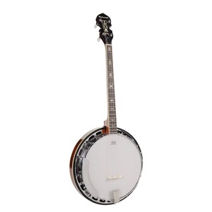 Richwood banjo 4 string