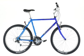 Giant boulder 510