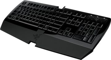Razer arctosa