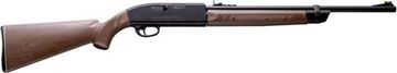 Crosman classic 2100