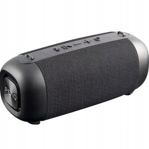Peaq Ppa 405